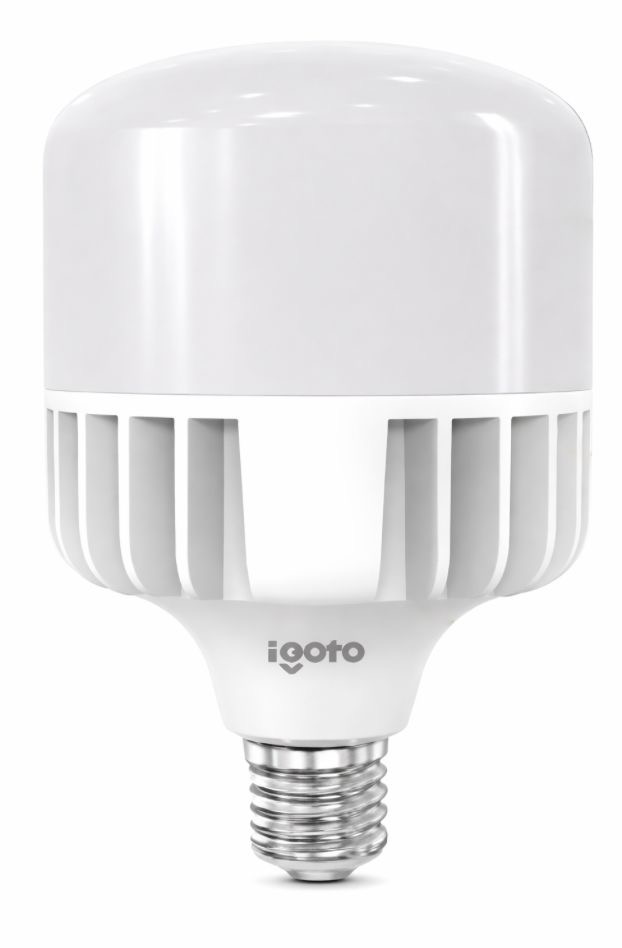 FOCO OMNI LUZ FRIA 100 W IGOTO