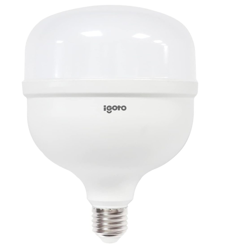 FOCO OMNI LUZ FRIA 50 W IGOTO